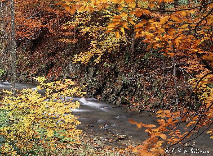 potok Hylaty, Bieszczady