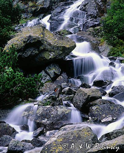 Wodospad nad Morskim Okiem Tatry