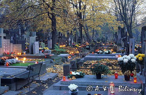 Warszawa cmentarz Powązki