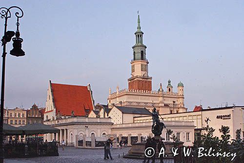 Poznań, Stary Rynek, fontanna Neptuna