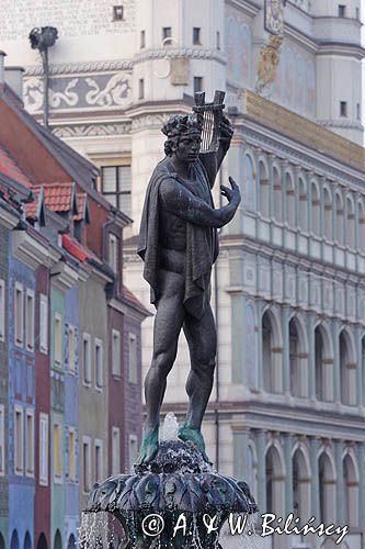 Poznań, fontanna Apolla, Ratusz