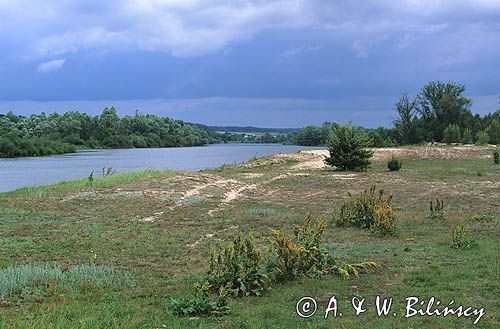 Podlaski przełom Bugu Park Krajobrazowy, przełom Bugu