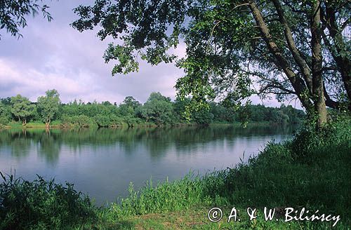 Park Krajobrazowy Podlaski przełom Bugu