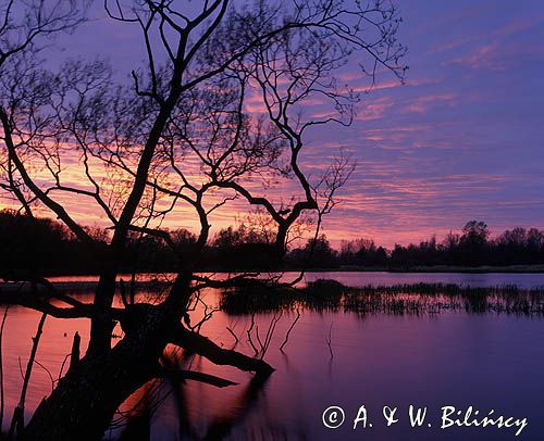 Podlaski przełom Bugu Park Krajobrazowy, wiosenne rozlewiska