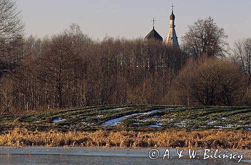 Puchły cerkiew nad Narwią, Podlasie