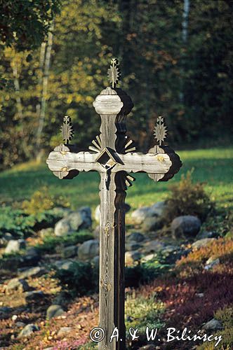 Park Krajobrazowy Puszczy Knyszyńskiej, Puszcza Knyszyńska
