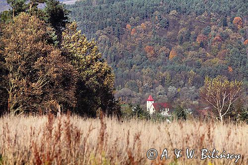 kościół w Niewistce, widok z okolic punktu widokowego Góra Krąg, gmina Dydnia, Pogórze Dynowskie