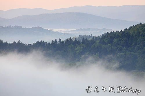 widok z punktu widokowego Góra Krąg, gmina Dydnia, Pogórze Dynowskie, Pogórze Przemyskie