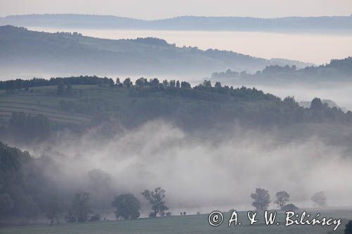 widok z punktu widokowego Góra Krąg, gmina Dydnia, Pogórze Dynowskie