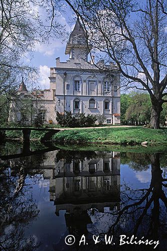 Radziejowice, pałac