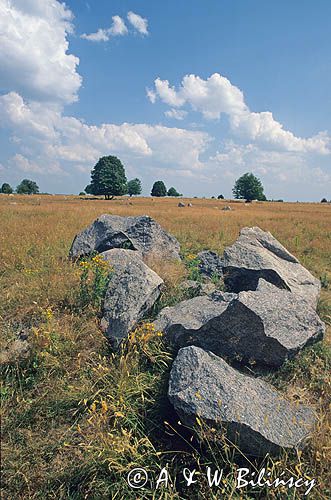 Rezerwat Głazowisko Suwalski Park Krajobrazowy