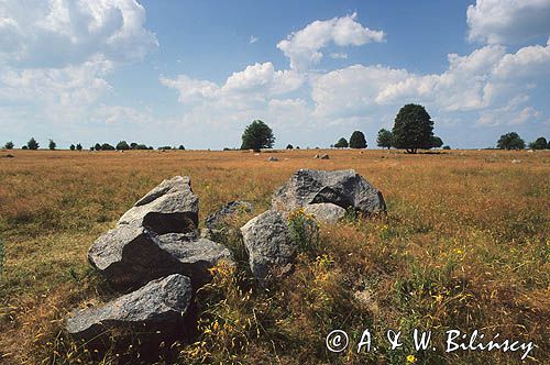 Rezerwat Głazowisko Suwalski Park Krajobrazowy