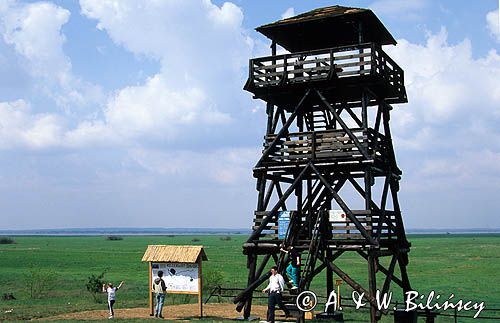 rezerwat Słońsk - wieża widokowa