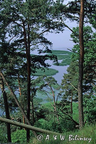 rez. prof. A. Wodziczki, Woliński Park Narodowy, Wyspa Wolin