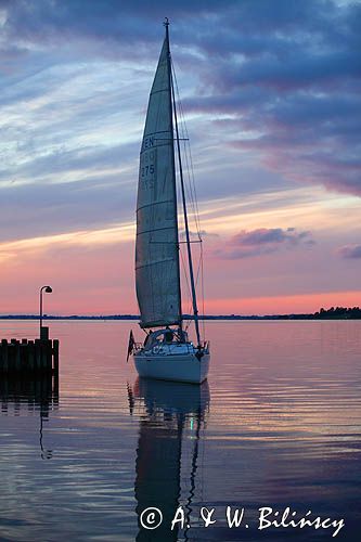 jacht wpływa do portu jachtowego w Roskilde, Roskilde Fjord, Zelandia, Dania