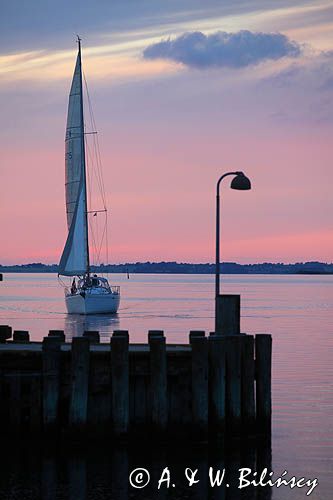 jacht wpływa do portu jachtowego w Roskilde, Roskilde Fjord, Zelandia, Dania