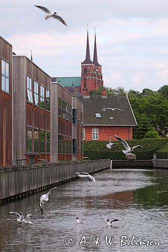 Domy i mewy w Roskilde, Katedra w Roskilde, Roskilde Fjord, Zelandia, Dania