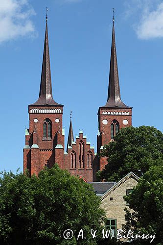 Katedra w Roskilde, Roskilde Fjord, Zelandia, Dania