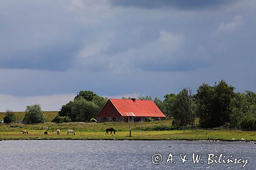 Roskilde Fjord, Zelandia, Dania