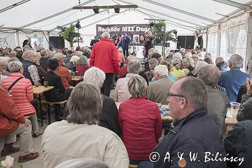 Roskilde Jazz Days 2015, Roskilde, Zelandia, Dania