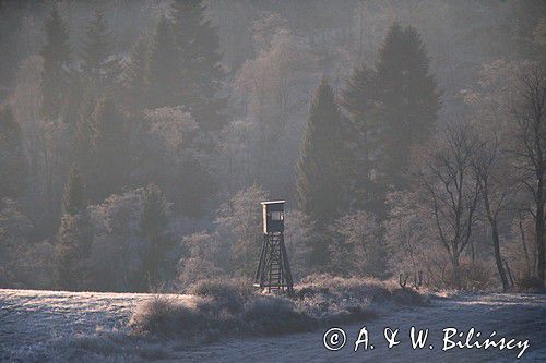 ambona myśliwska, Rosochate, świt, Bieszczady