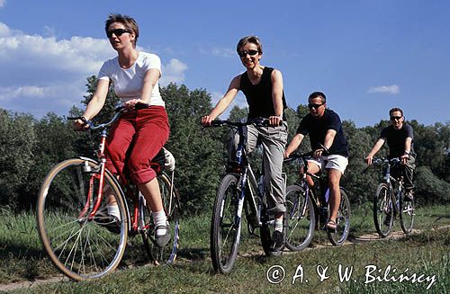 rowerzyści