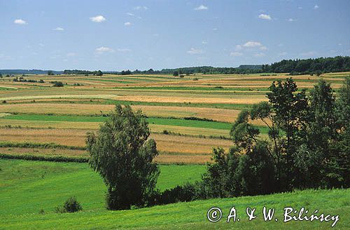 Roztocze środkowe