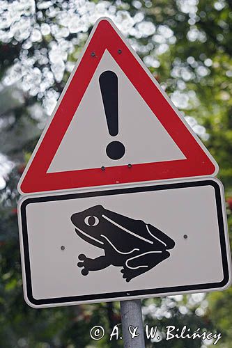 znak drogowy 'uwaga żaby' w Glowe na wyspie Rugia, Niemcy