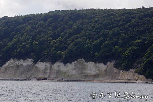 kredowe klify na wyspie Rugia, Park Narodowy Jasmund, Niemcy