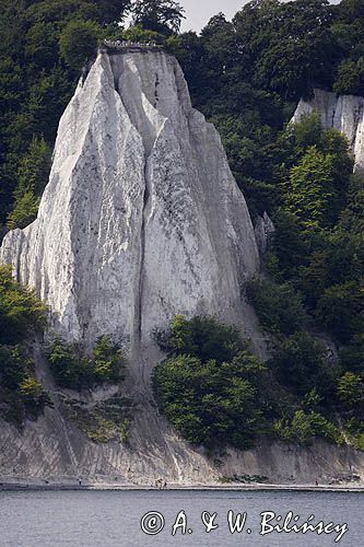 kredowe klify na wyspie Rugia, Park Narodowy Jasmund, Niemcy