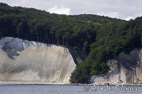 kredowe klify na wyspie Rugia, Park Narodowy Jasmund, Niemcy