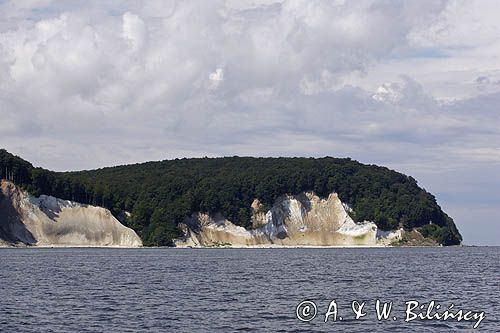 kredowe klify na wyspie Rugia, Park Narodowy Jasmund, Niemcy