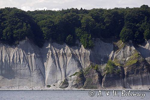 kredowe klify na wyspie Rugia, Park Narodowy Jasmund, Niemcy