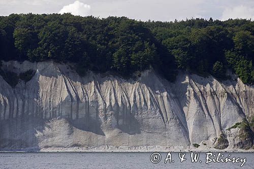 kredowe klify na wyspie Rugia, Park Narodowy Jasmund, Niemcy