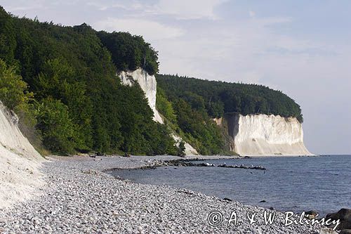 kredowe klify na wyspie Rugia, Park Narodowy Jasmund, Niemcy