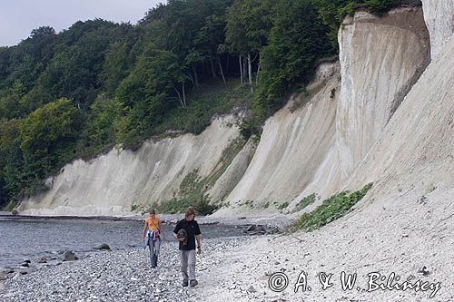 kredowe klify na wyspie Rugia, Park Narodowy Jasmund, Niemcy