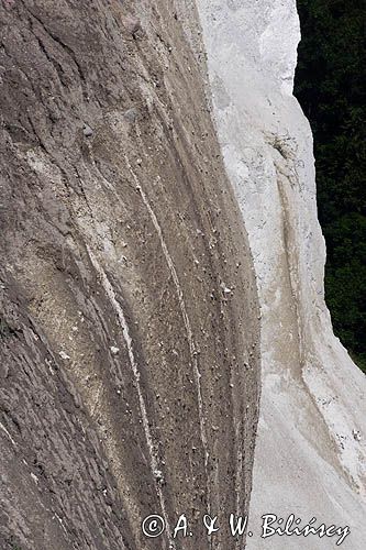 kredowe klify na wyspie Rugia, Park Narodowy Jasmund, Niemcy