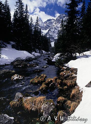 Rybi Potok, Tatry, Tatrzański Park Narodowy