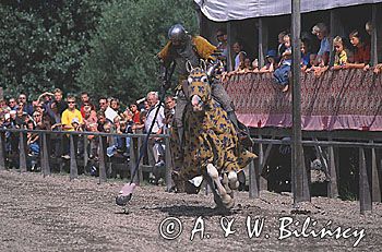 rycerz Dania Centrum Średniowiecza w Sundby na wyspie Lolland