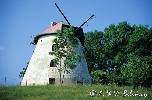 Ryn, zabytkowy wiatrak