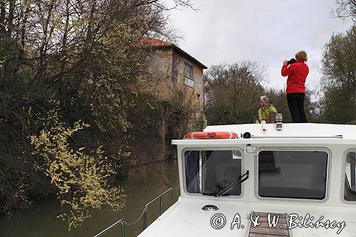 stary młyn koło Flaran, rzeka Baise, Penichette, Gaskonia, Francja