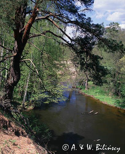 rzeka Drawa Drawieński Park Narodowy