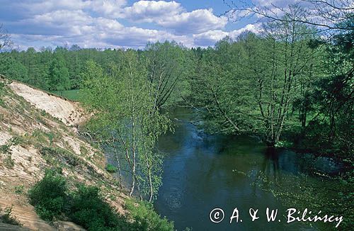 rzeka Drawa Drawieński Park Narodowy