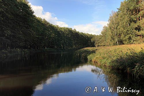 rzeka Havela, Obere Havel Wasser Strasse, Brandenburgia, Niemcy