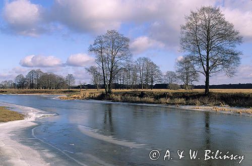 rzeka Liwiec, Mazowsze