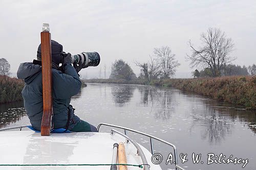 fotograf przyrody, rzeka Noteć