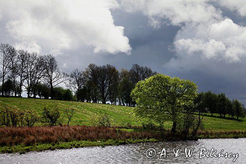 rzeka Shannon, rejon Górnej Shannon, Irlandia