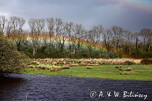 tęcza, rzeka Shannon, rejon Górnej Shannon, Irlandia