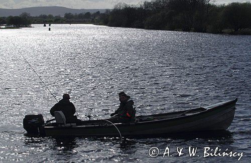 wędkarze, rzeka Shannon, rejon Górnej Shannon, Irlandia