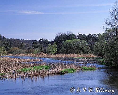 rzeka Skrwa, Brudzeński Park Krajobrazowy, Mazowsze